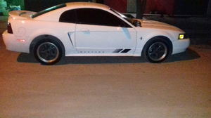 MUSTANG - Anuncio publicado por dulce_bt86