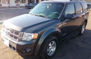 Ford Escape Limited v piel