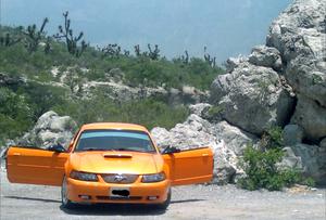 Mustang naranja