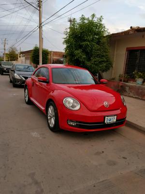 Beetle Sport 