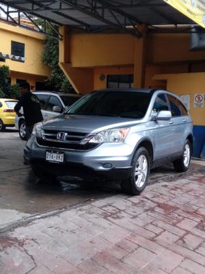 Bonita crv 