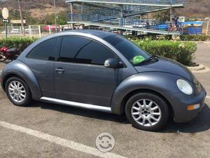 Beetle en general