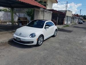 Beetle  sport