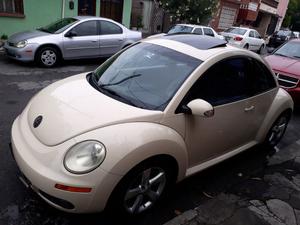 beetle  importado