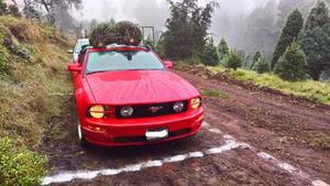Ford Mustang 4.6 Gt Base 5vel Tela Mt