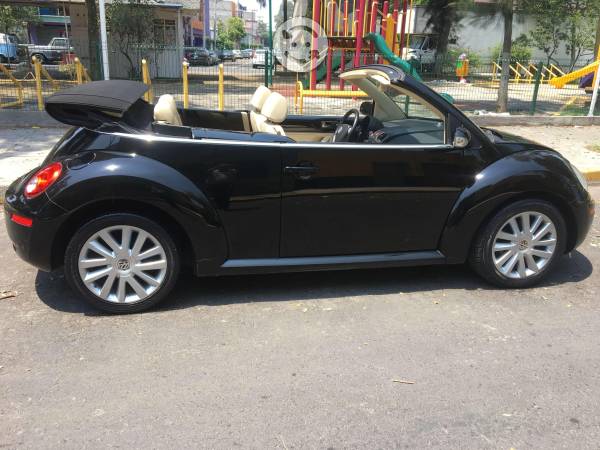 Beetle convertible