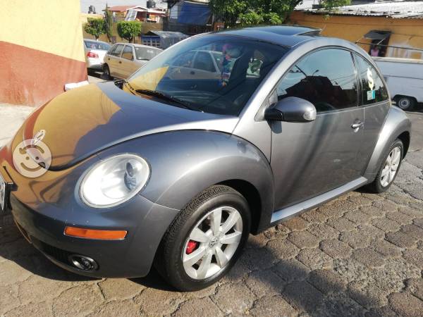 Beetle spor