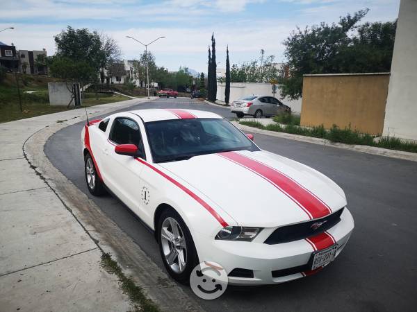 Mustang premium