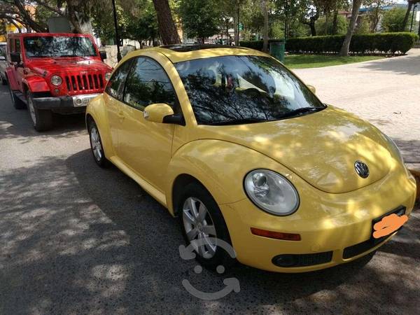 Auto beetle
