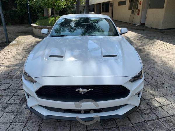 Mustang Ecoboost solo km CRÉDITO