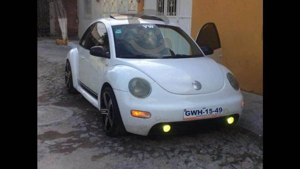 Beetle 